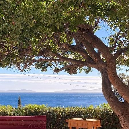 L'Arbousier Bed & Breakfast Rayol-Canadel-sur-Mer Exterior photo